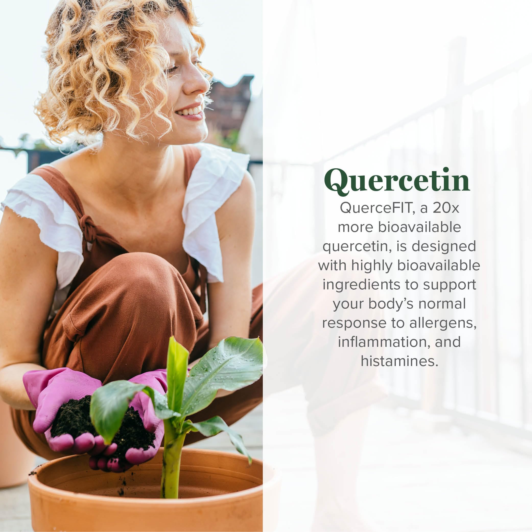 Global Healing Center quercetin-250mg capsules closeup, rich antioxidant potential.