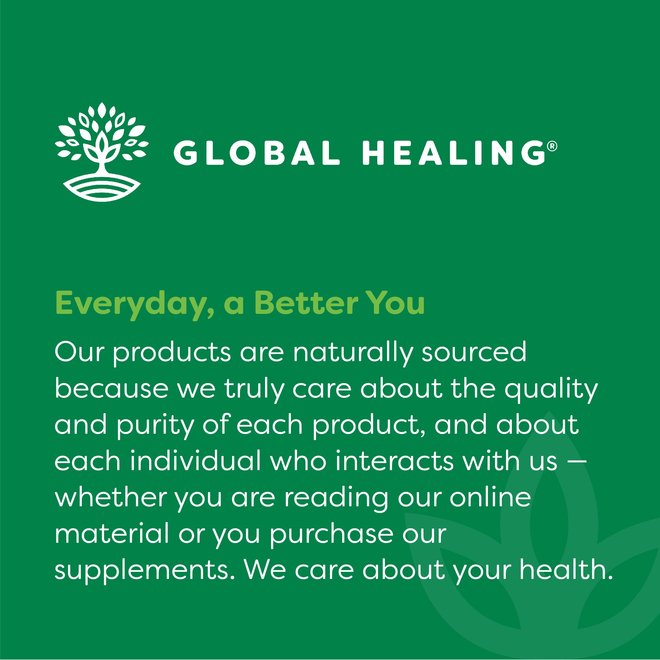 Global Healing Center two-pack B12 bottle for convenient ongoing use.