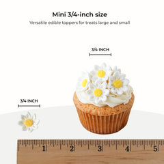 Global Sugar Art edible gumpaste daisies showcase hand-sculpted realism