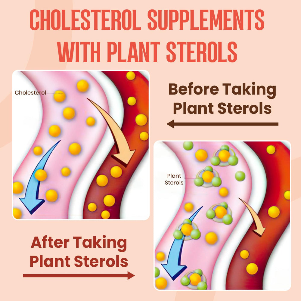 Ingredients label on Glorithiventa product listing plant sterols and stanols for a multifaceted formula