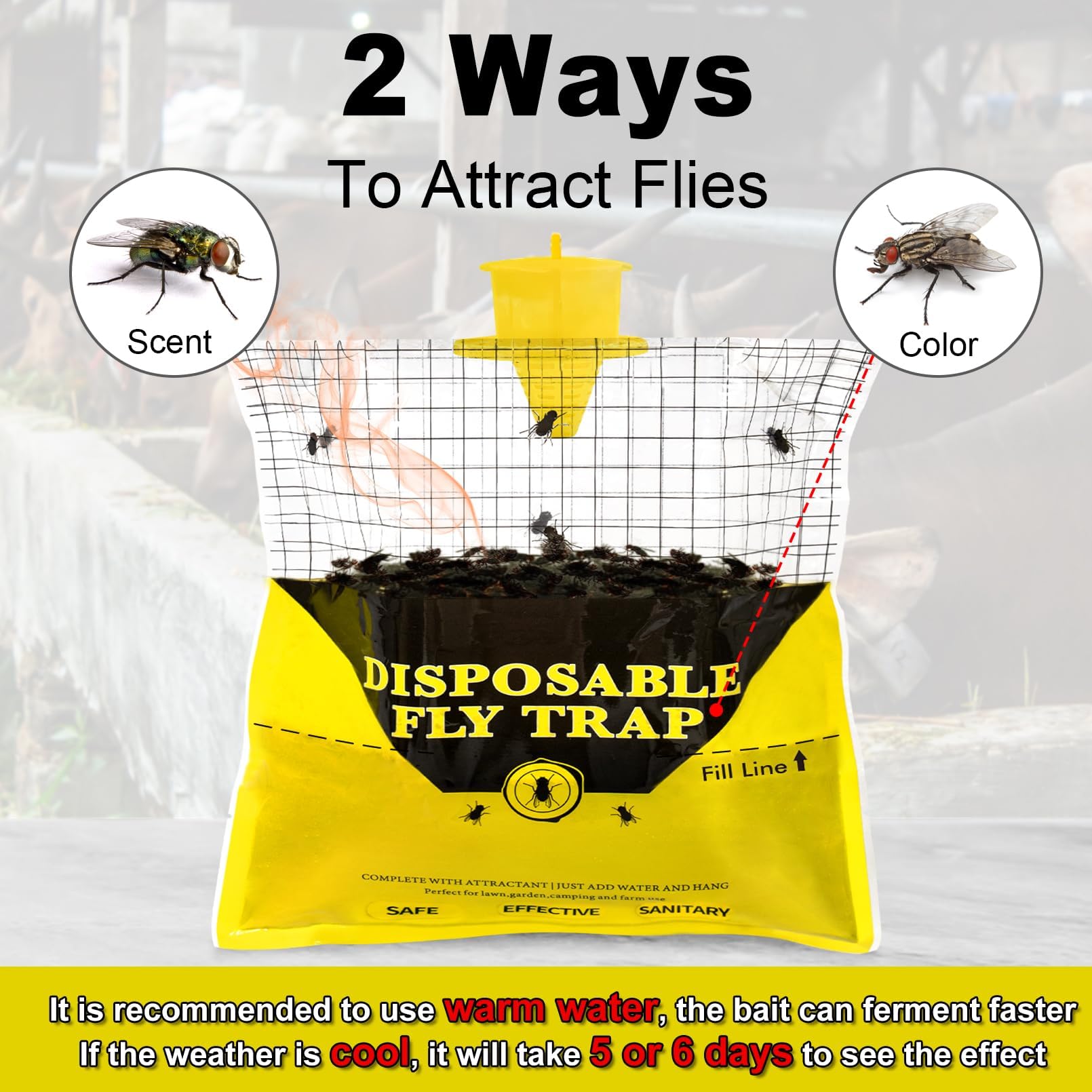 Glovv bait-in-bag activation showing scent release for fly attraction