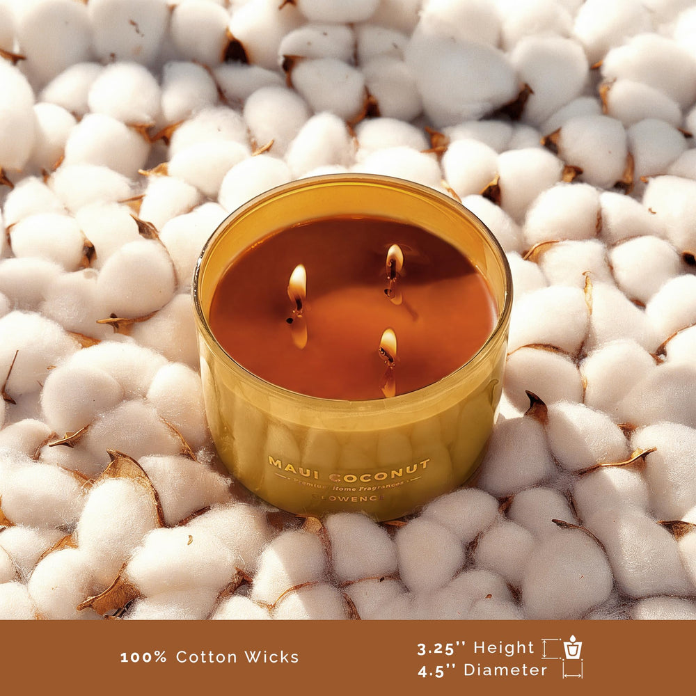 Glowence coconut candle dining room ambience for intimate gatherings.