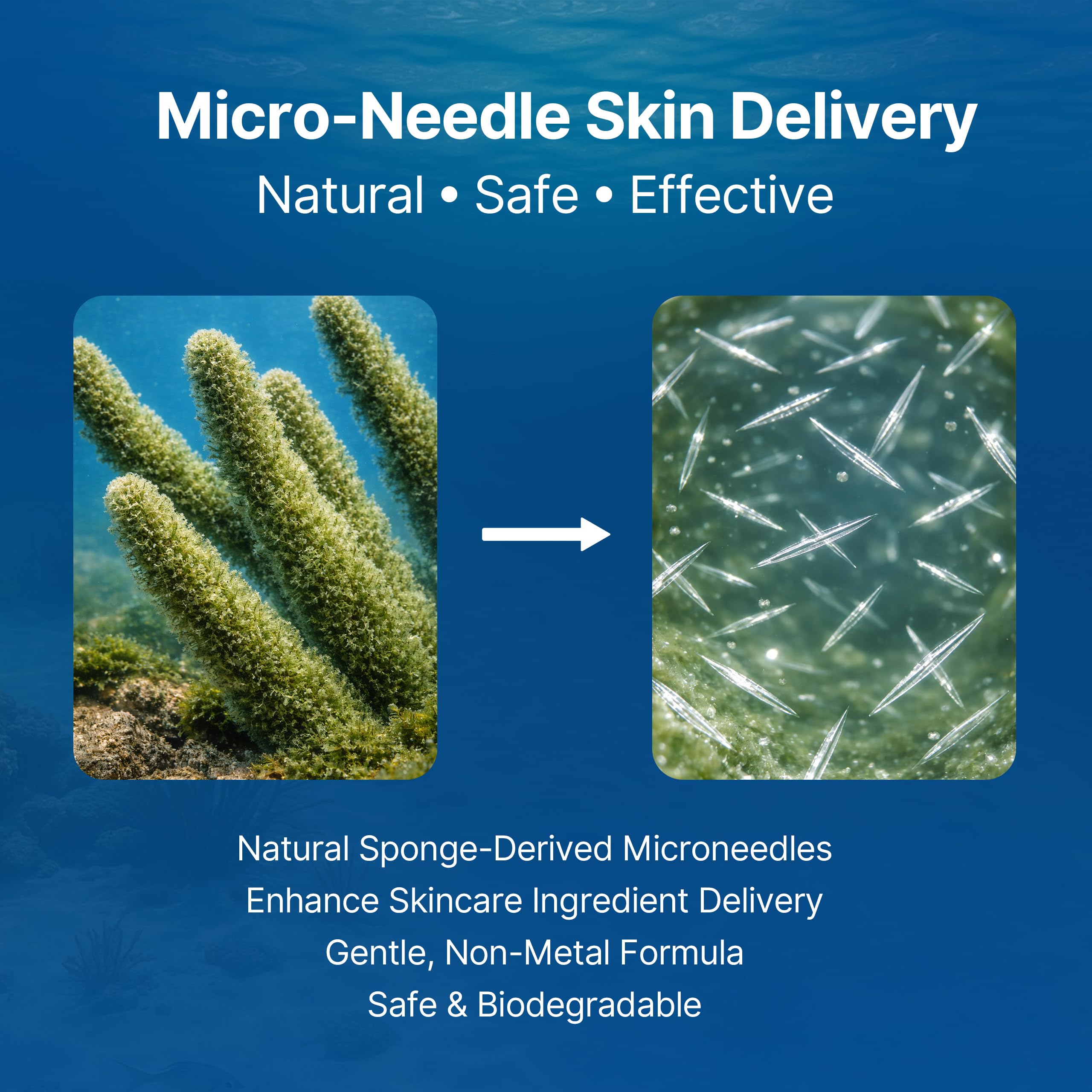Gluvelessia daily-use serum supports thinning areas with twice-daily application.