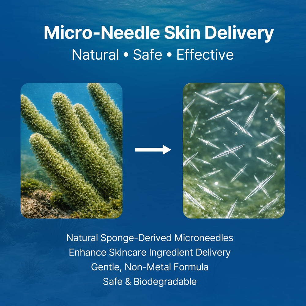 Gluvelessia daily-use serum supports thinning areas with twice-daily application.