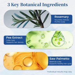 Gluvelessia scalp-purifying blend with ginger, tea tree, and camellia for balanced scalp.
