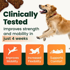 Label and ingredients highlight glucosamine MSM chondroitin for joints