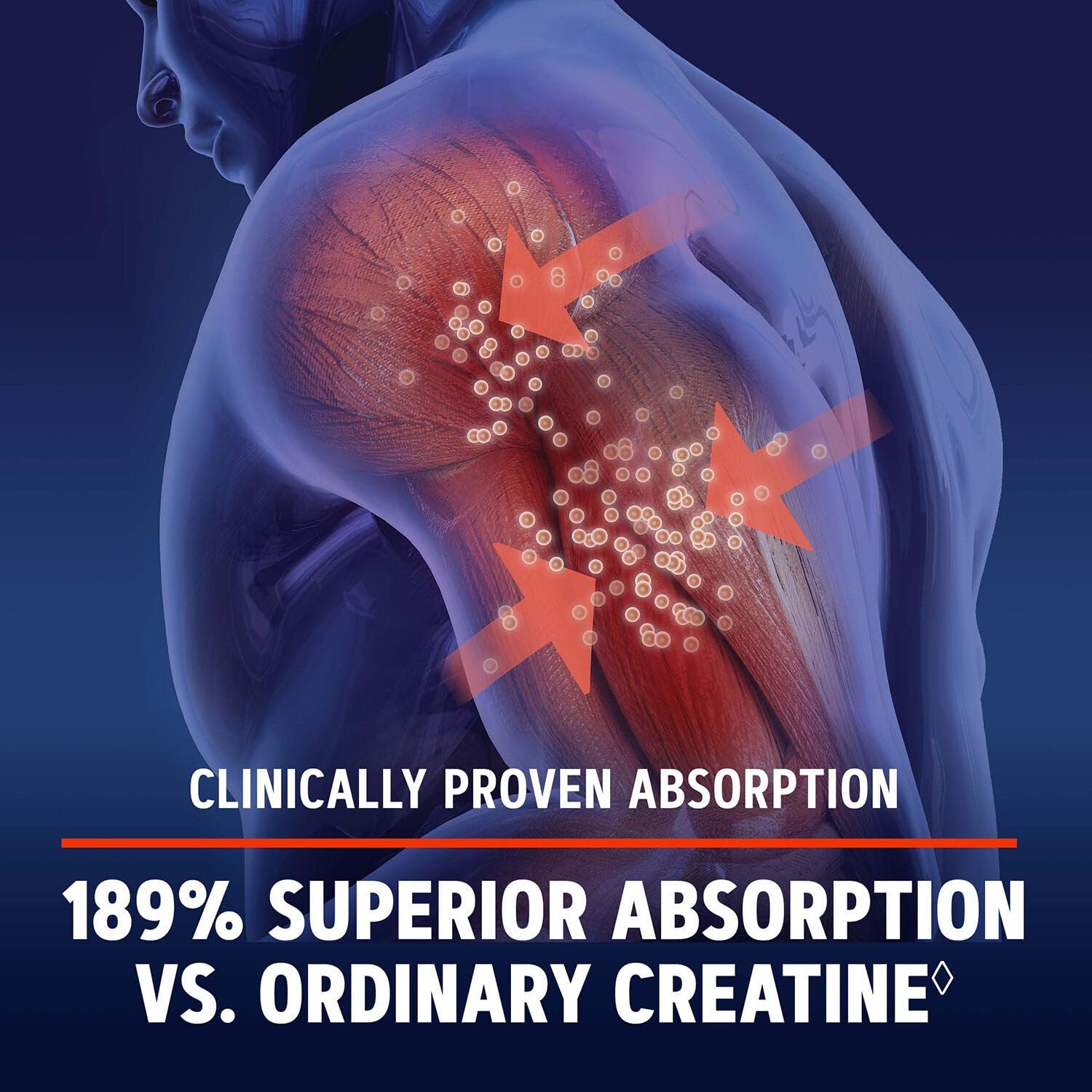 Close-up of GNC AMP Creatine HCl 189 label detail highlights ingredient clarity.