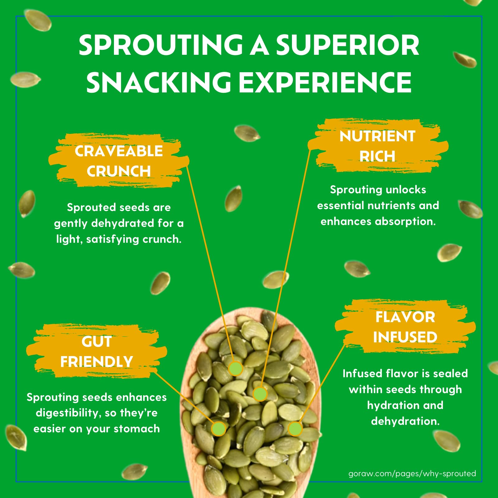 Go Raw sprouted seeds pouch open, ready-to-eat crunchy snack.