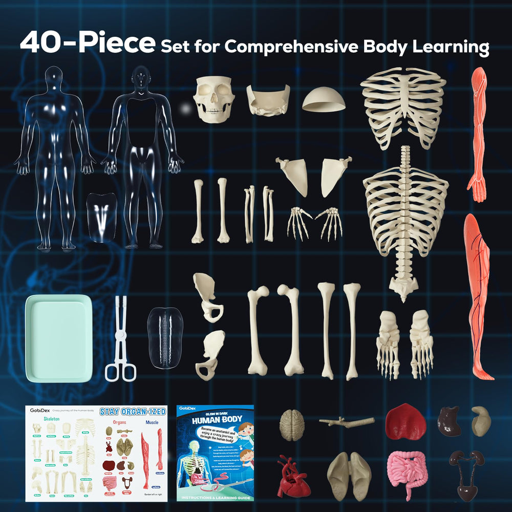 GobiDex illustrated science manual with colorful guidance