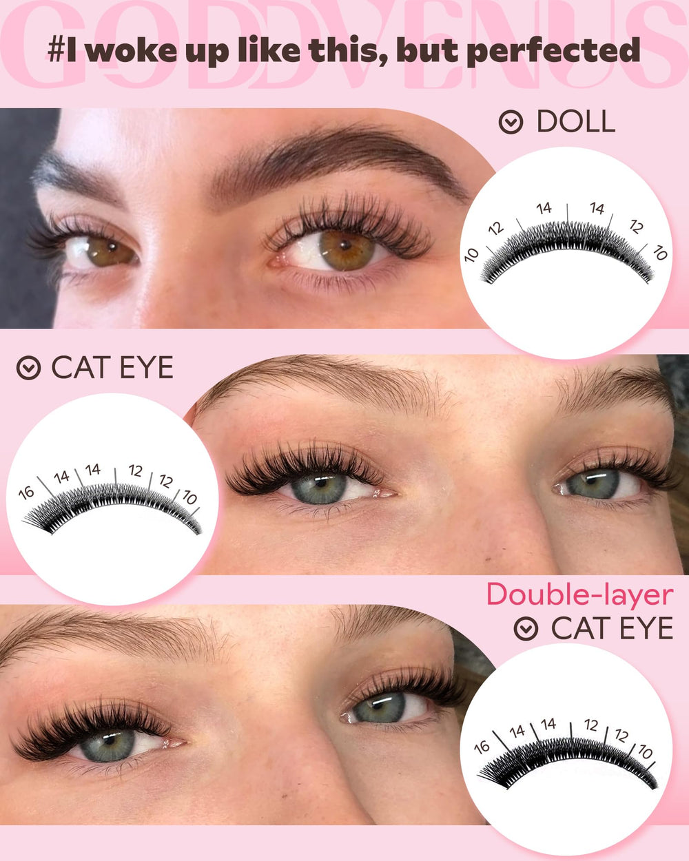Goddvenus Wispy Lash Clusters C-Curl band displays lightweight, flexible lash base.