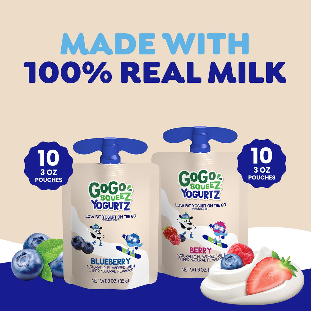 GoGo squeeZ yogurtZ BPA-free pouch: safe packaging for kids' snacks.