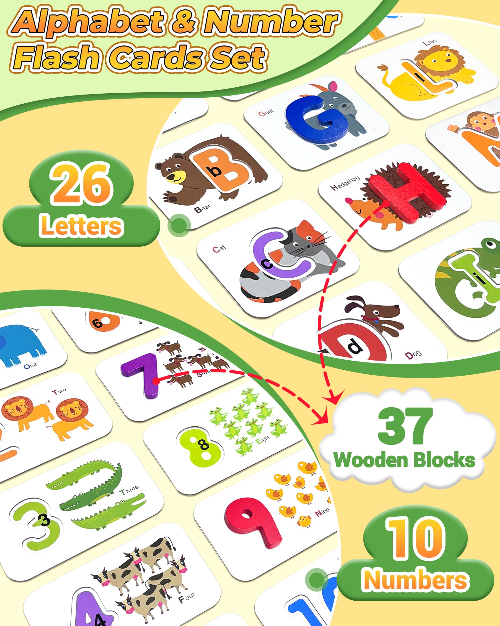Gojmzo wooden number flash cards support counting and number familiarity