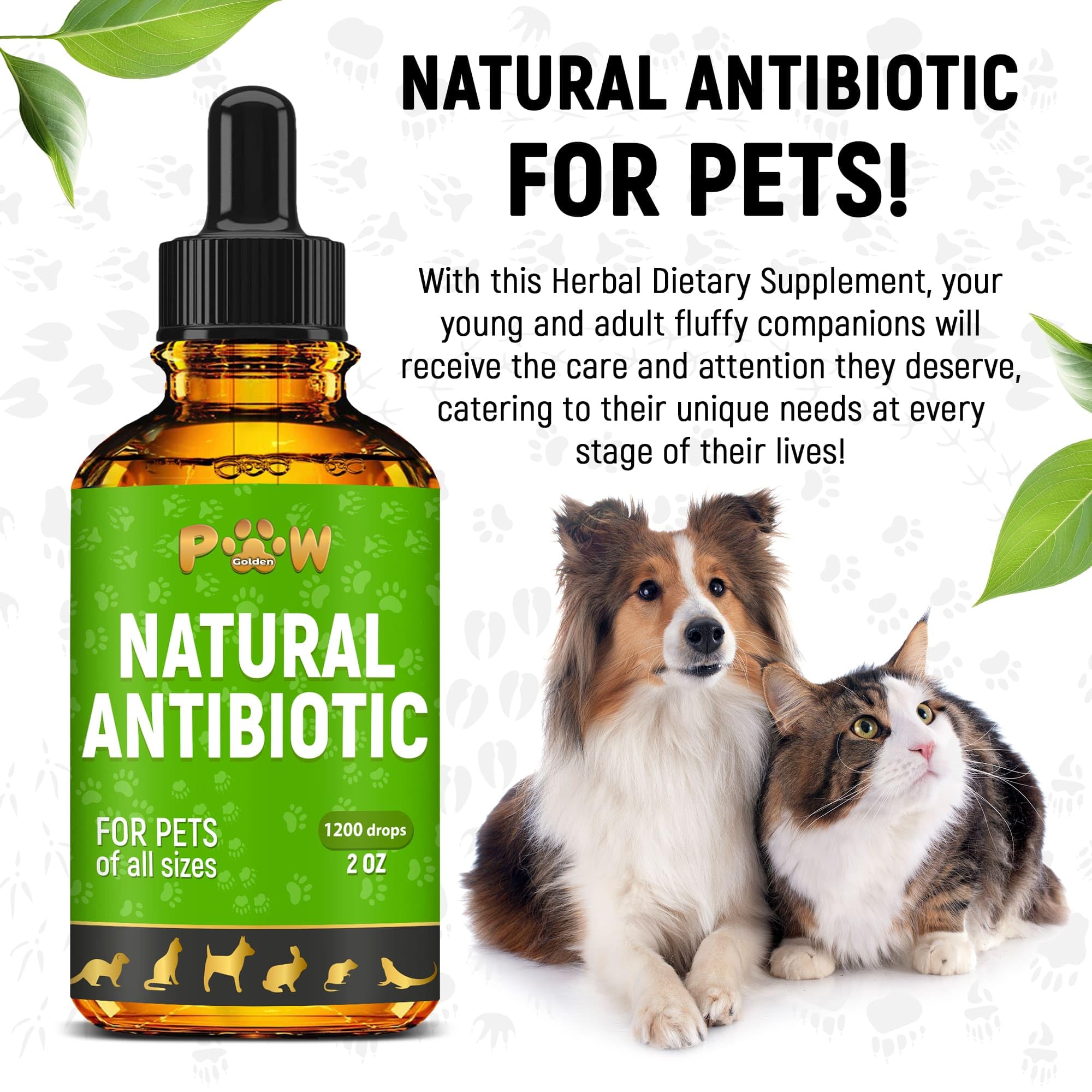 Golden Paw antibiotics packaging shown for dogs and cats of all breeds.