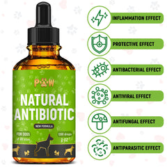 Golden Paw dog antibiotics bottle ideal for UTI management and gentle dosing