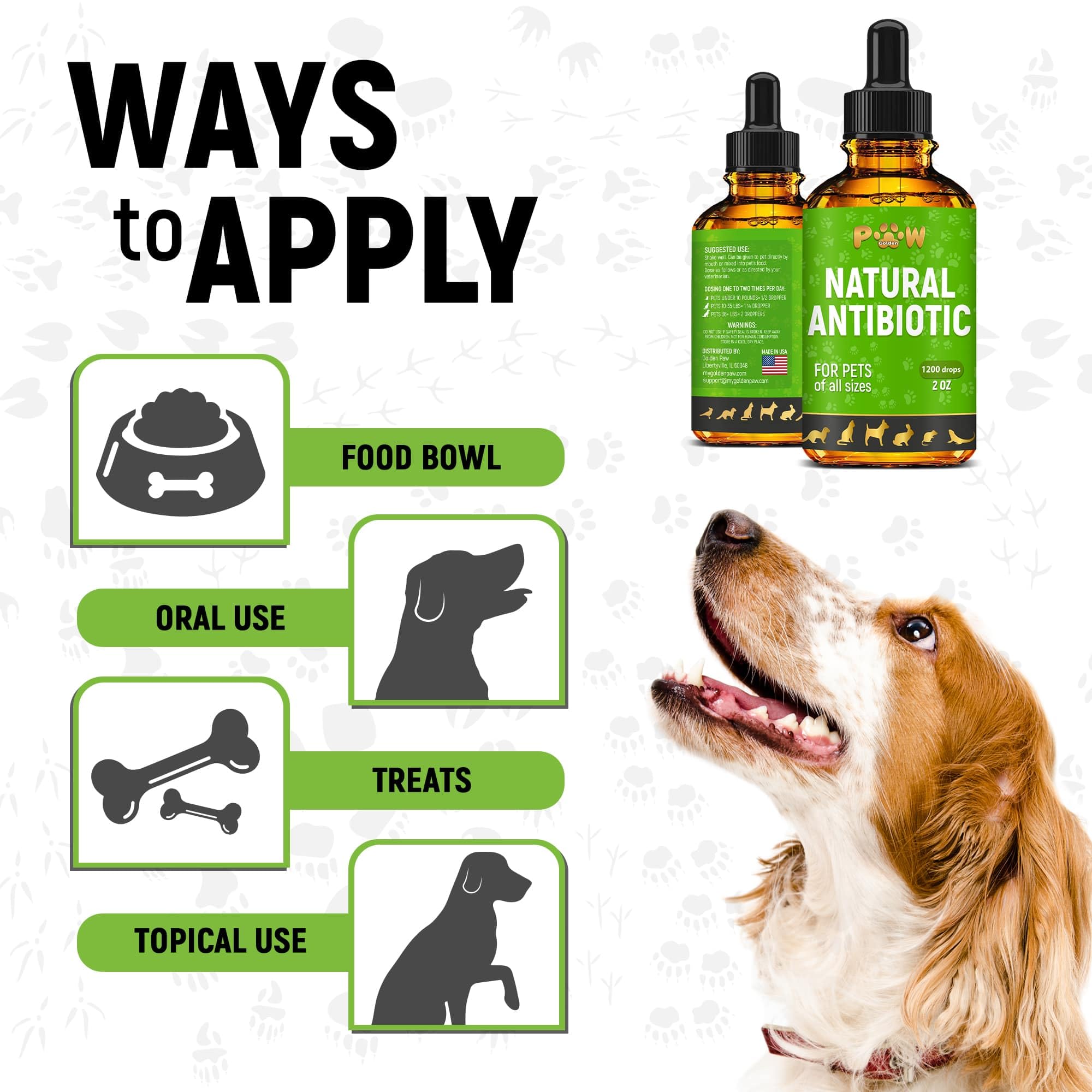 Golden Paw antibiotic drops added to pet food in a bowl for seamless feeding.