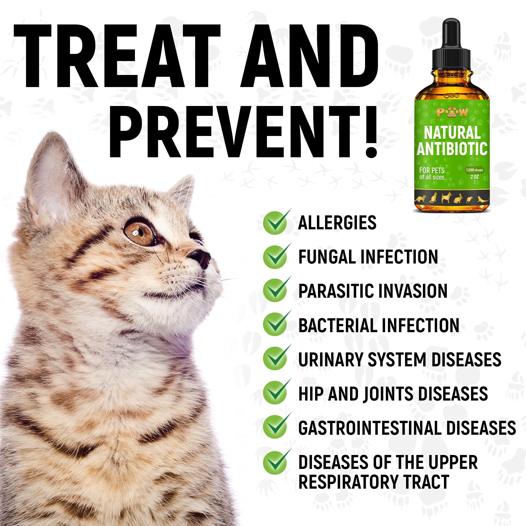 Golden Paw drops in water cup demonstrate easy ingestion during daily routines.