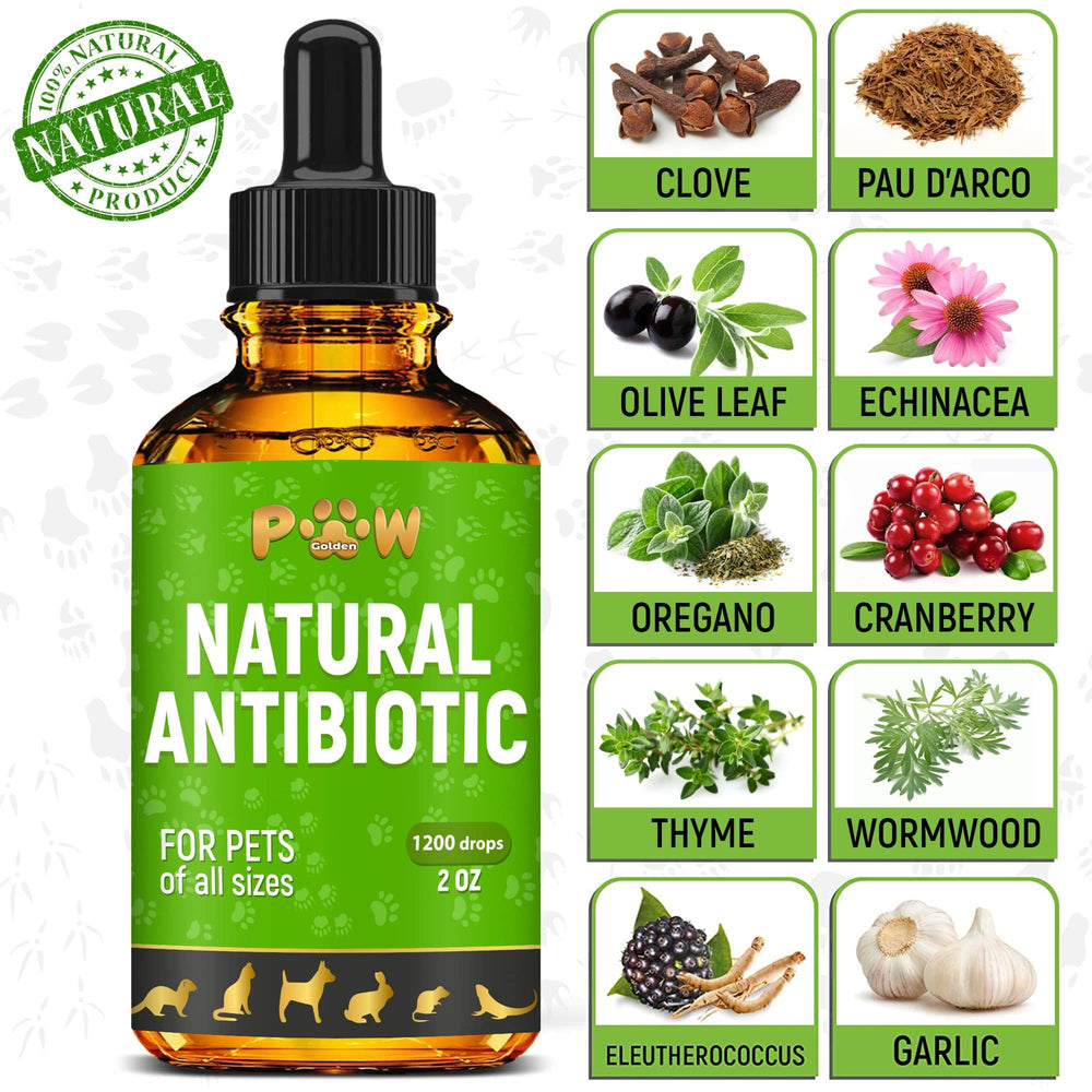 Golden Paw antibiotics ingredients label highlights cranberry, echinacea, and oregano for natural support.