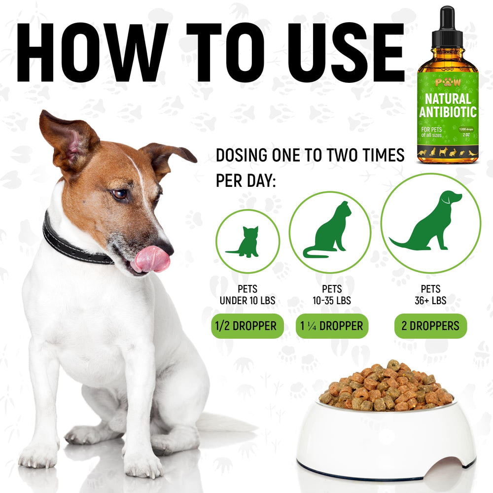 Golden Paw antibiotics label close-up shows organic composition and no artificial additives.