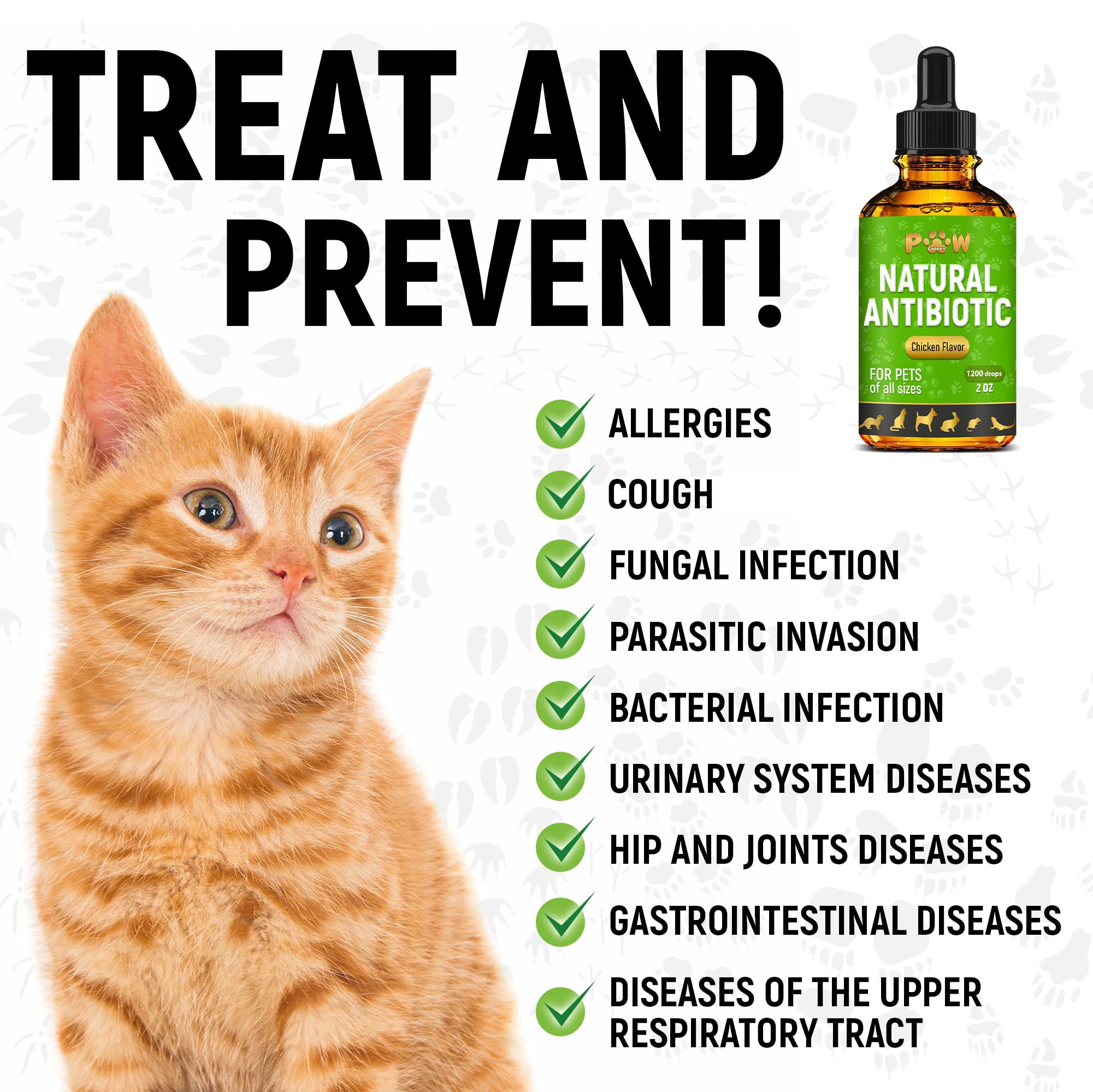 Golden Paw antibiotiques absorption rapide grâce à la forme liquide.