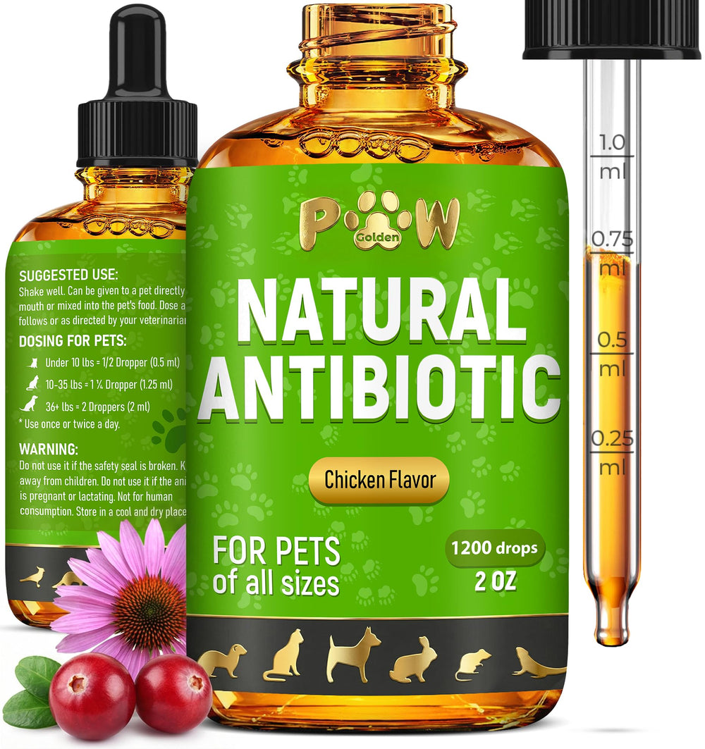 Golden Paw antibiotiques chat, bouteille et pipette, soutien potentiel au bien-être.