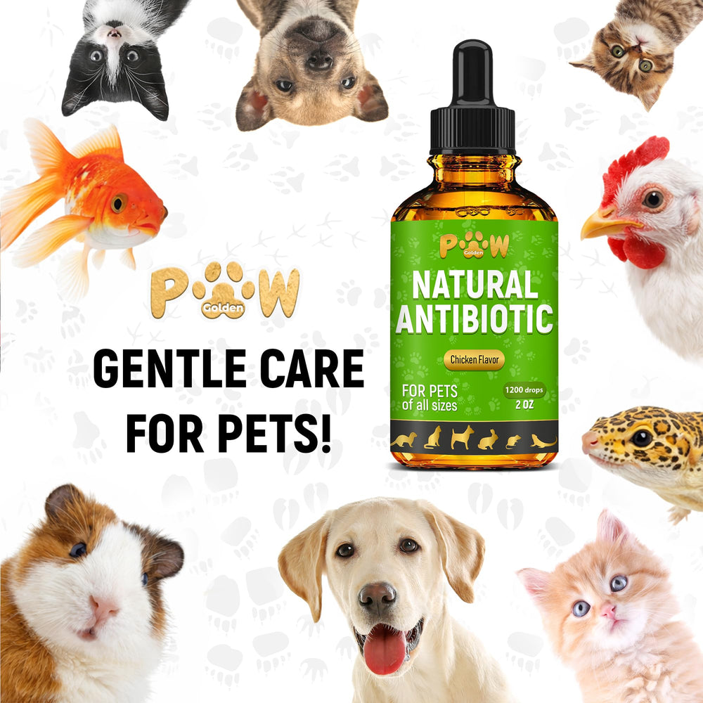Golden Paw antibiotiques utilisation quotidienne à domicile pour le bien-être.