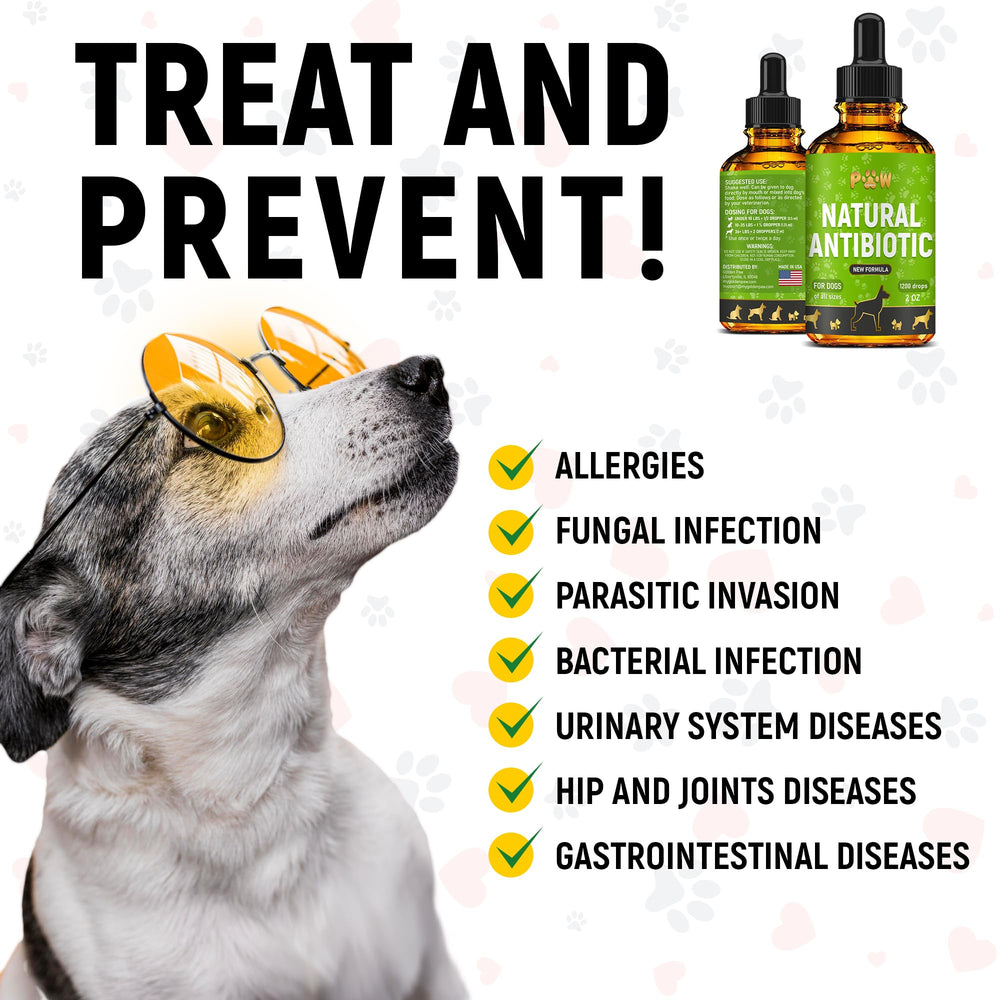 Golden Paw canine breath treatment helps freshen mouth and breath