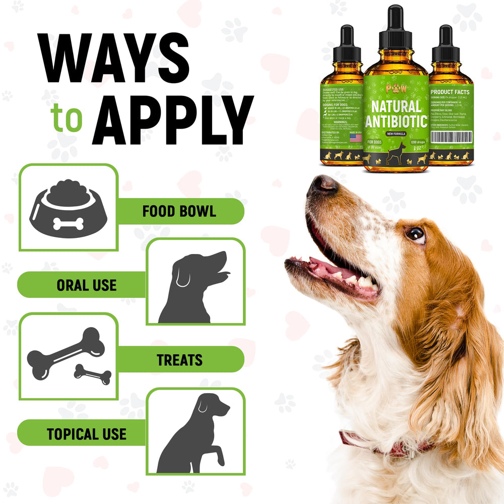 Golden Paw dog allergy relief formula supports daily well-being and calmer mood