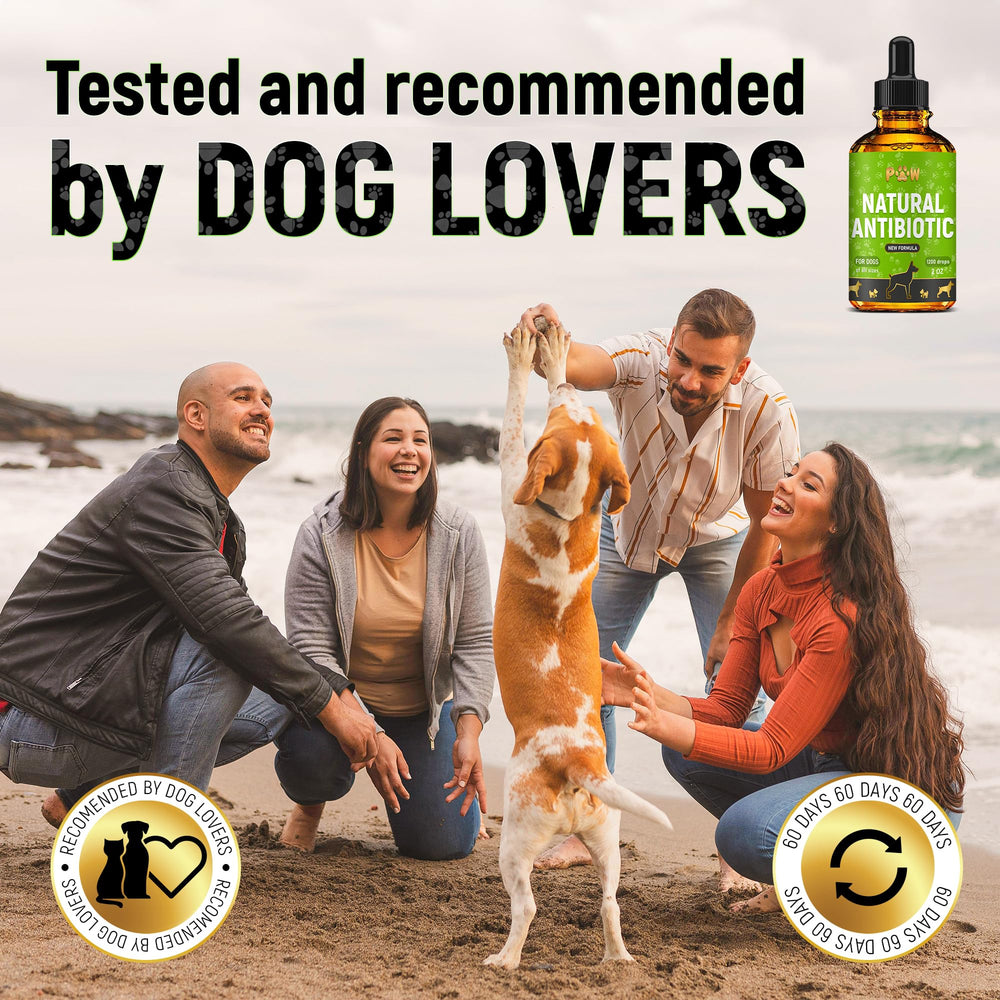 Golden Paw antibiotics bottle supports at-home pet care and comfort