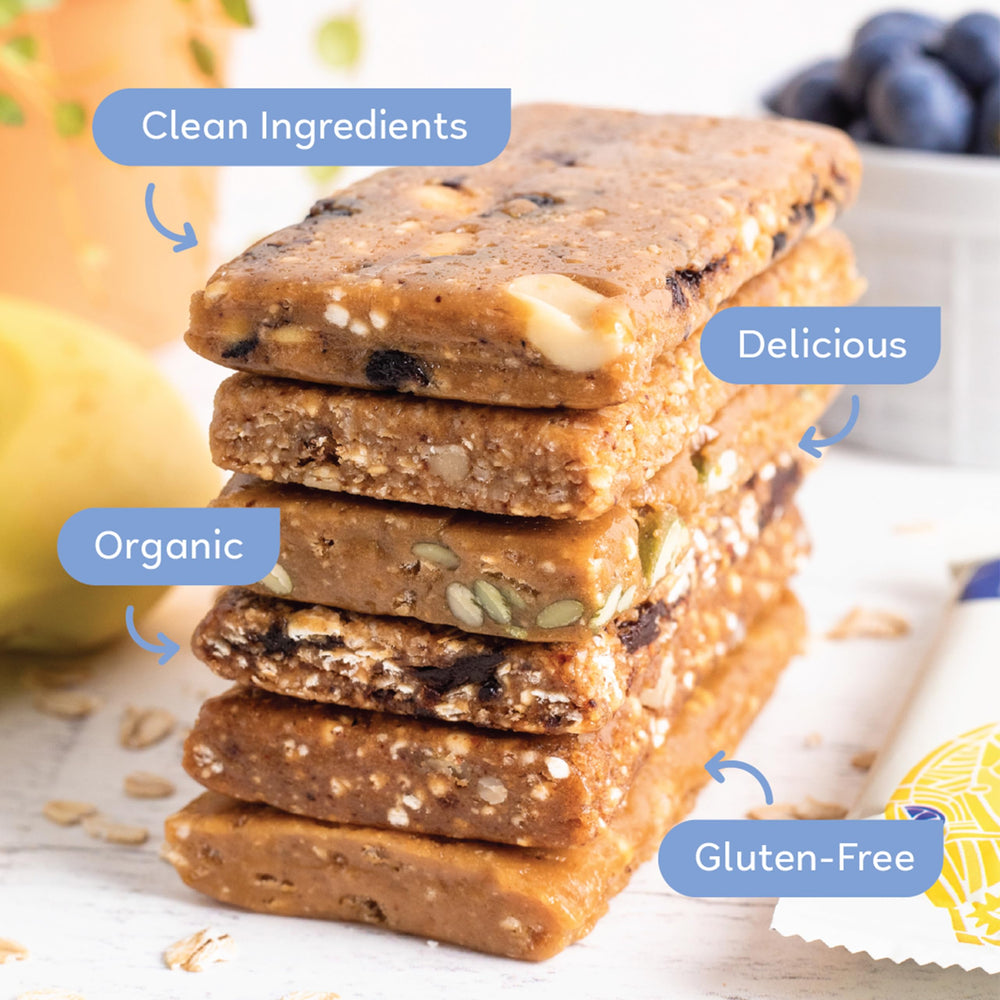 GoMacro Macrobar Breakfast Blueberry Cashew Butter, wholesome plant protein for mornings