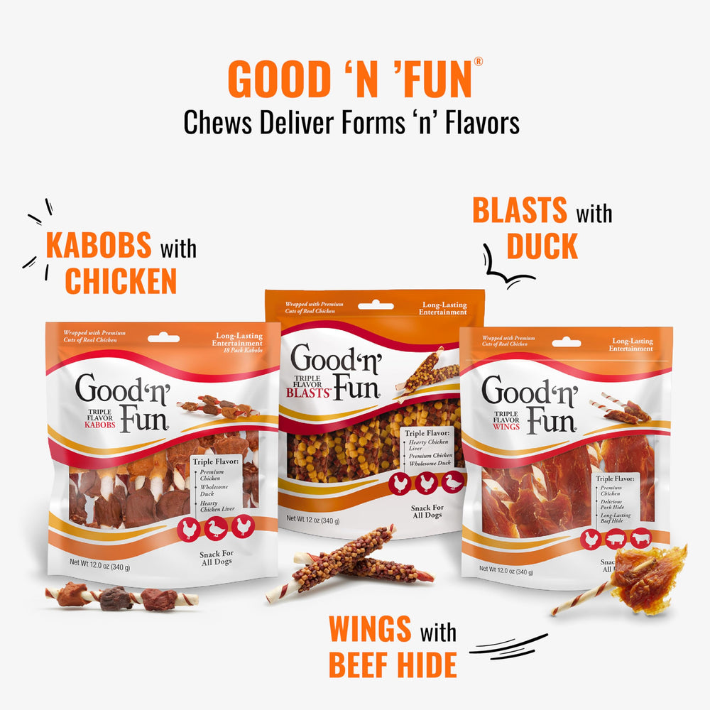 GOOD N FUN kabob-shaped chew design showcased.