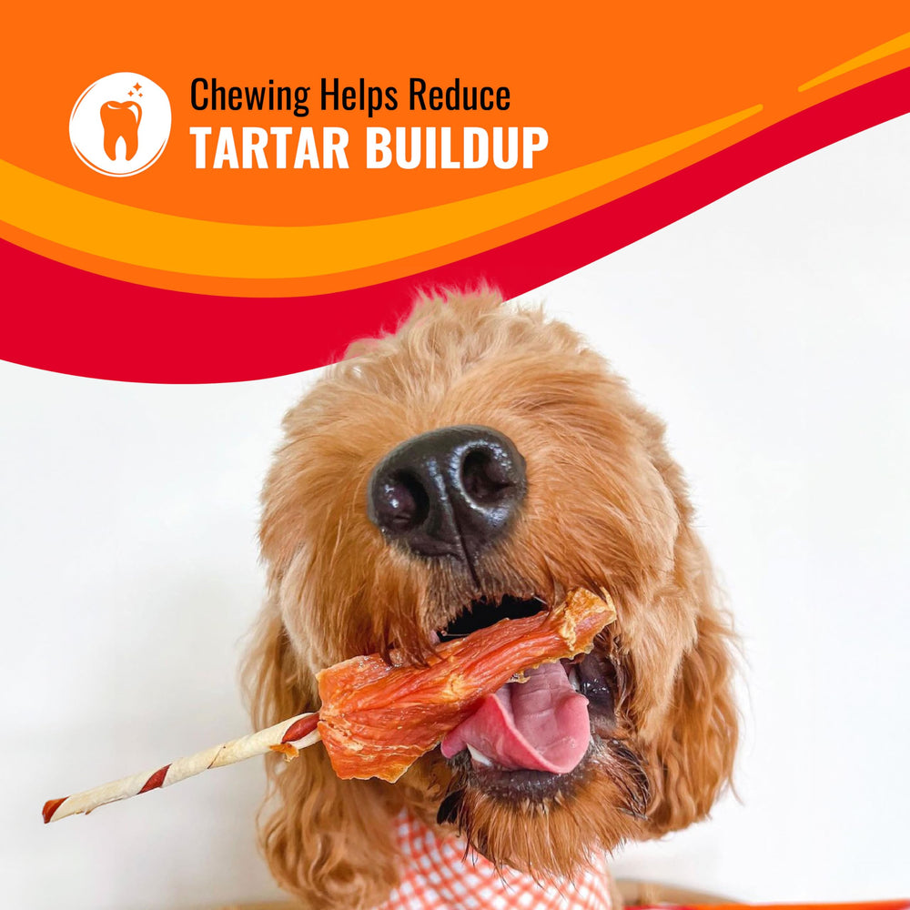 GOOD 'N' FUN long-lasting chew aids natural chewing urges during playtime.