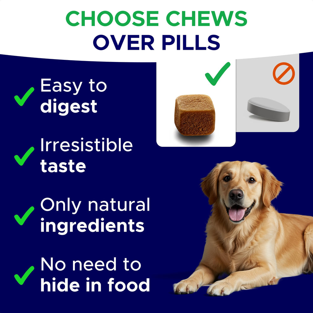 GOODGROWLIES chews on plate show a chewable calming option