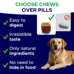 GOODGROWLIES chews on plate show a chewable calming option