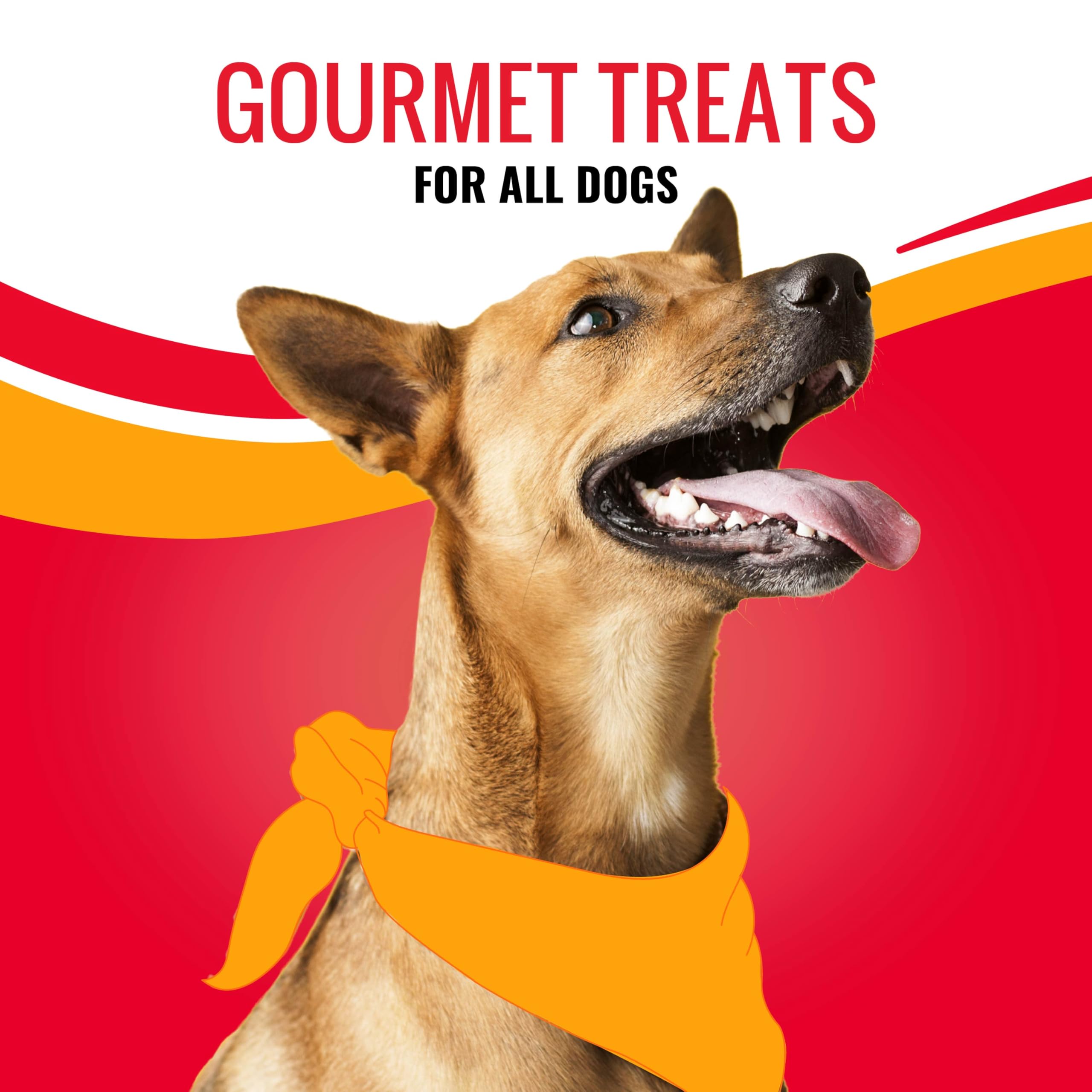 Good N Tasty Snap EMS : friandises gourmet adaptées à tous les chiens.