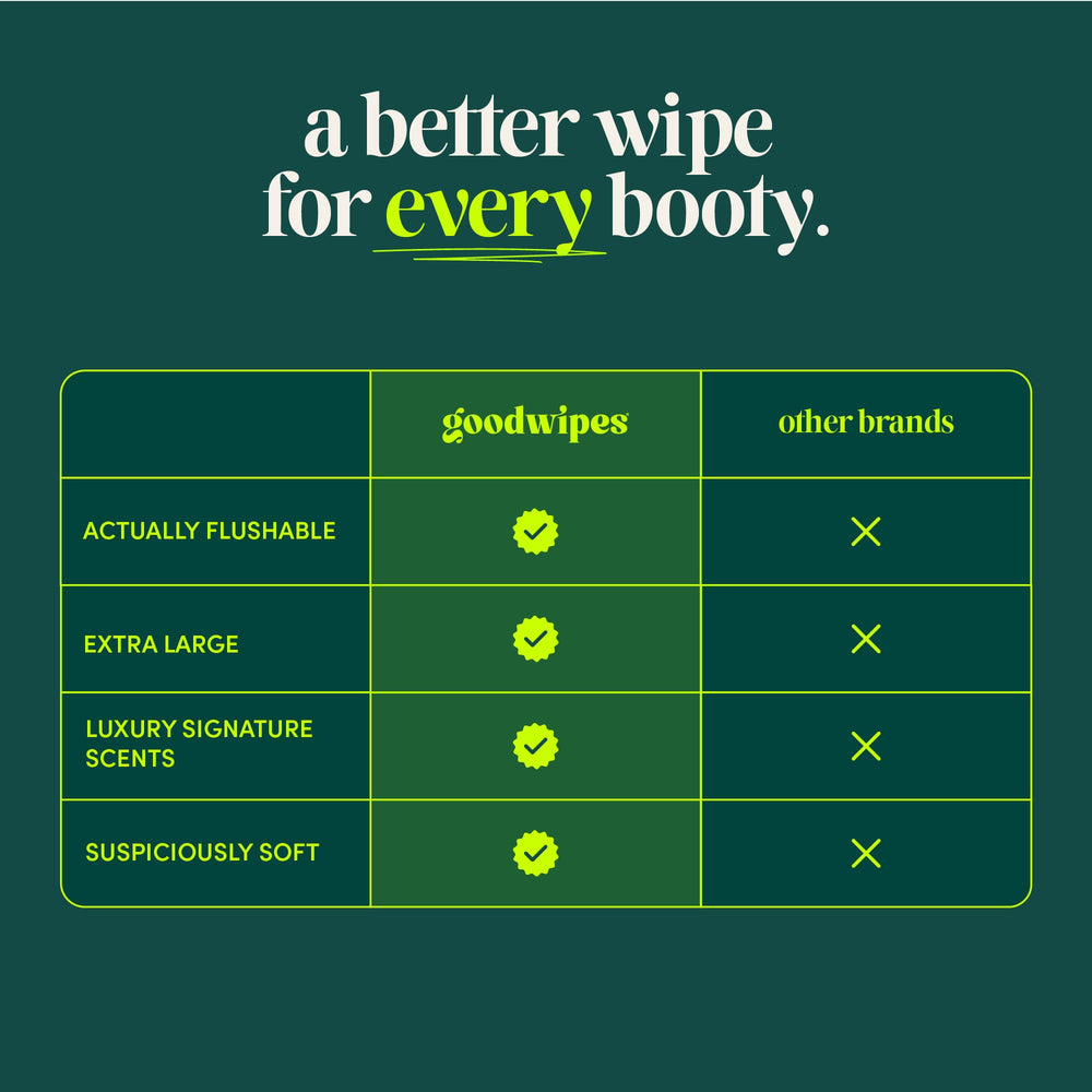 Goodwipes travel pack compact display showing on-the-go convenience.