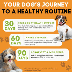 Googipet Glucosamine joint support chew beside stairs for mobility comfort
