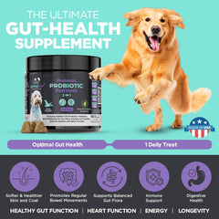 Googipet Probiotics 6B CFU formula boosts gut flora.