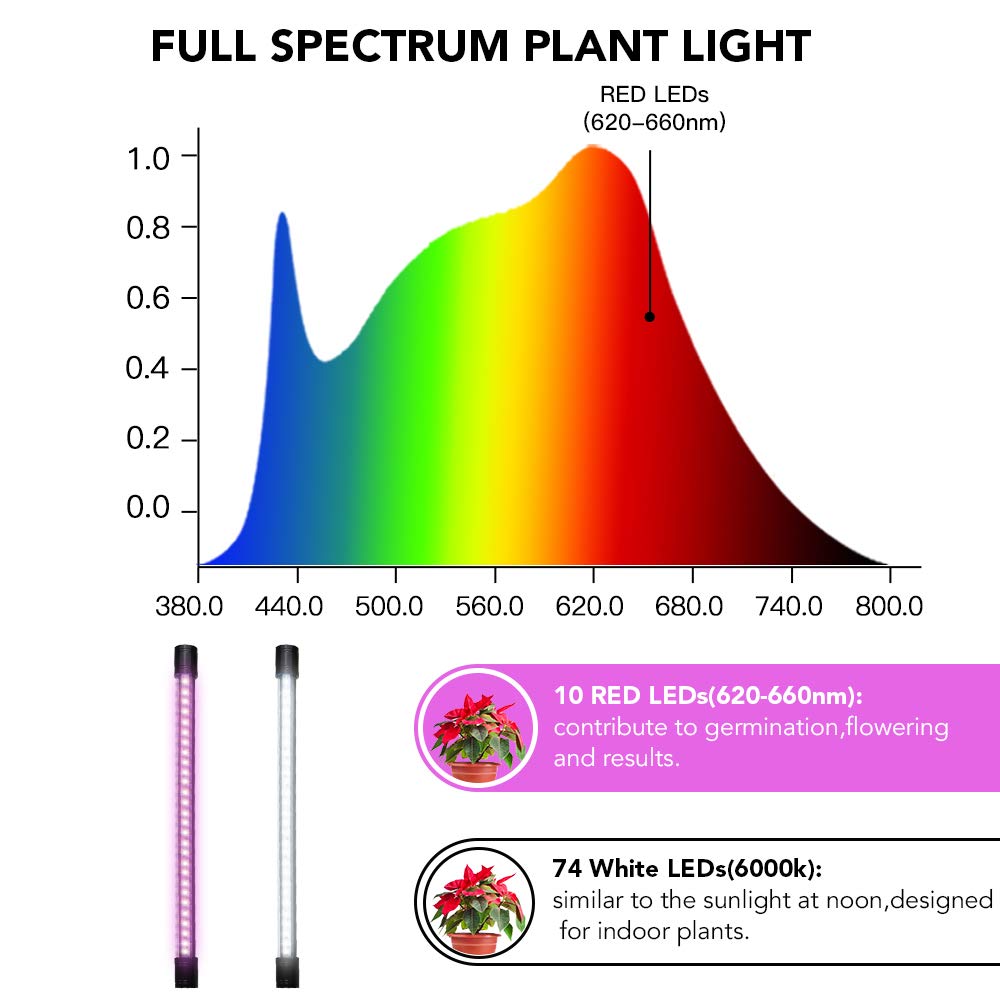 GooingTop 365-day warranty provides reliable support for plant lovers.