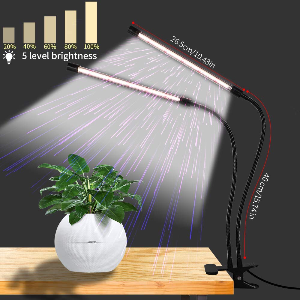 GooingTop full-spectrum 6000K lamp illuminates seedlings with natural-looking light.