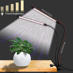 GooingTop full-spectrum 6000K lamp illuminates seedlings with natural-looking light.