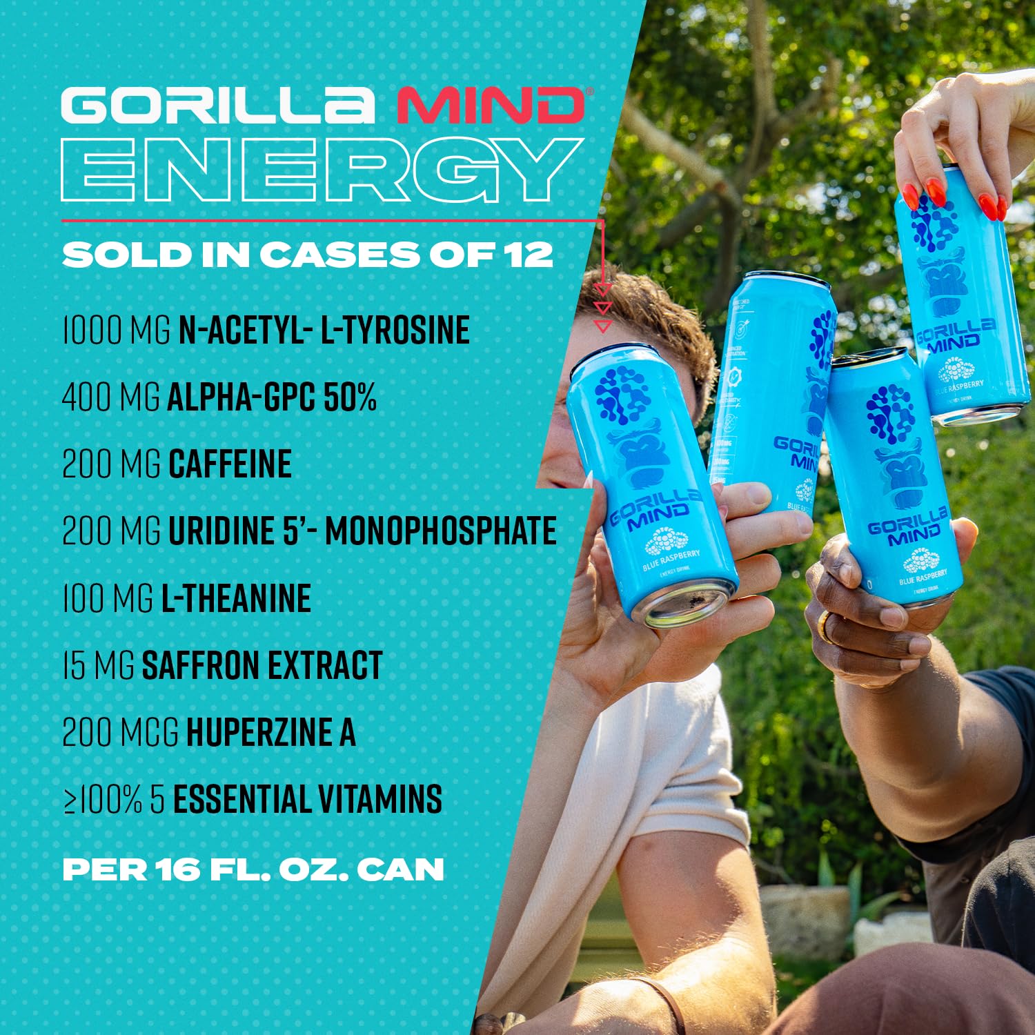 Sugar-free label and 16 oz can visible for a clean, guilt-free option.