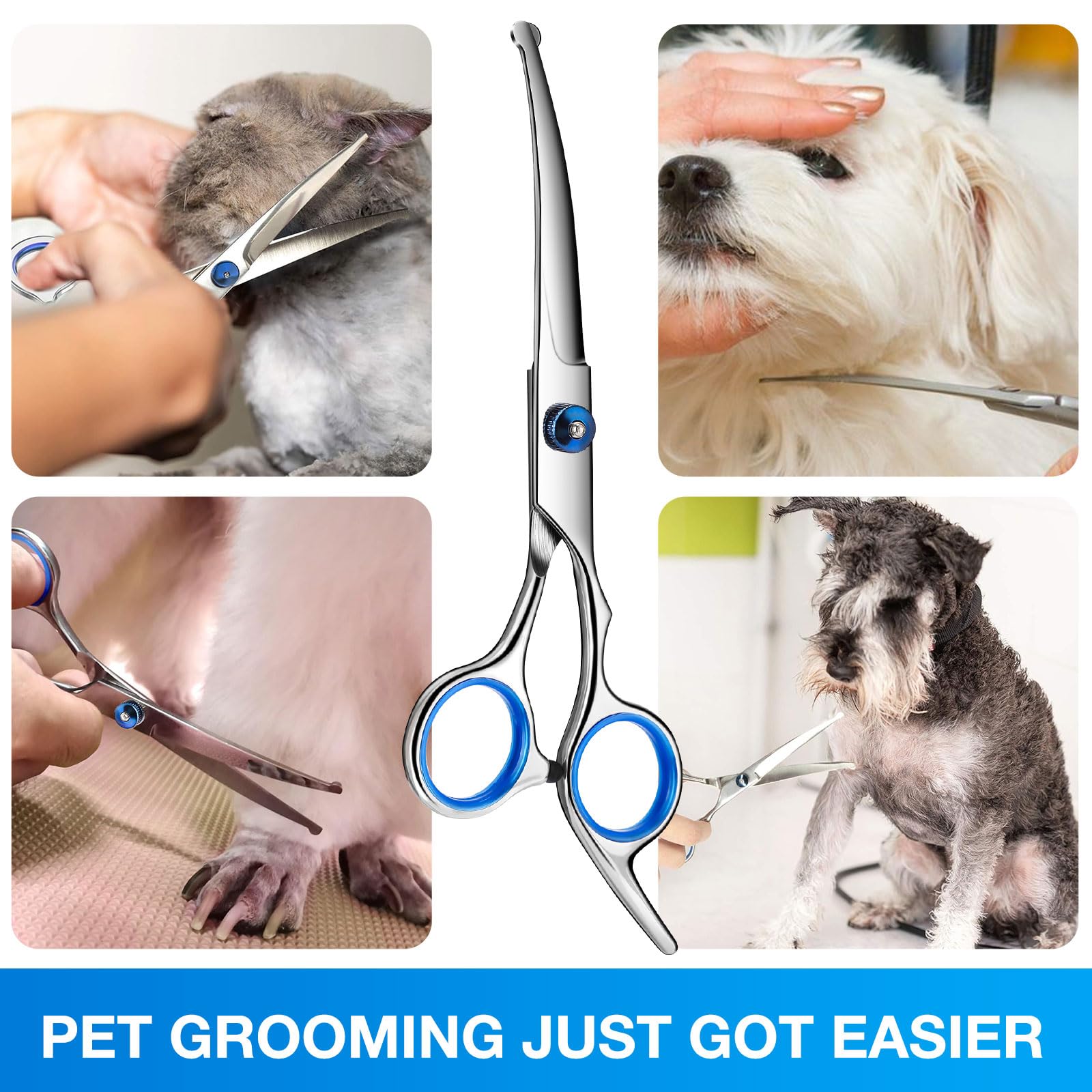 GORITZ dog grooming scissors professional service with helpful support