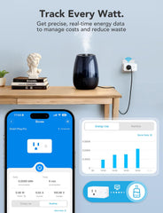 Govee Smart Plug connected via WiFi and Bluetooth for remote access