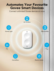 GoveeLife dual-mode gateway label emphasizes Wi-Fi and Bluetooth compatibility.
