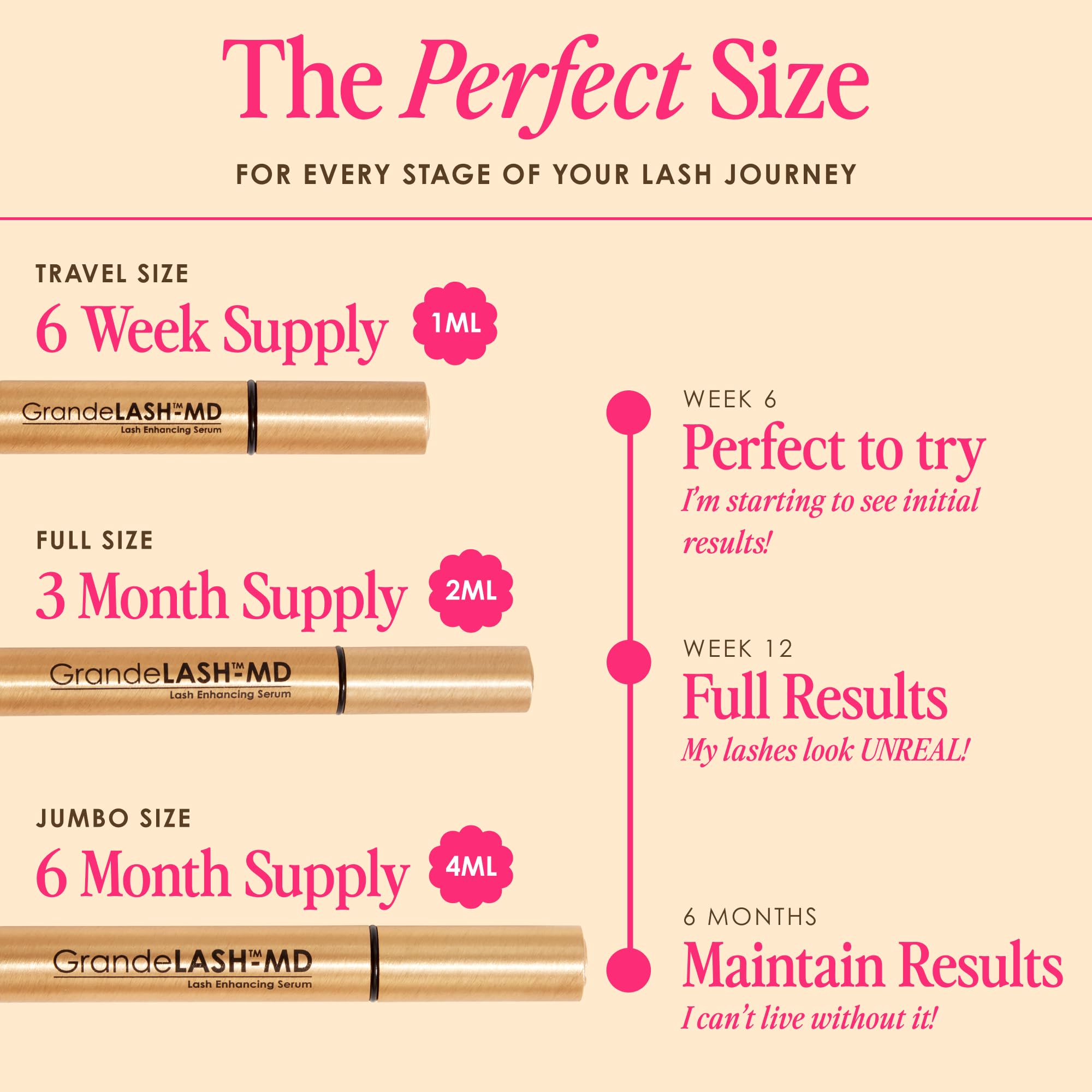 Six-month supply box highlighted for long-term lash support