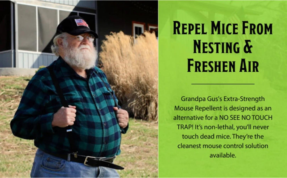 Grandpa Gus's pouch in basement or attic areas for ongoing defense.