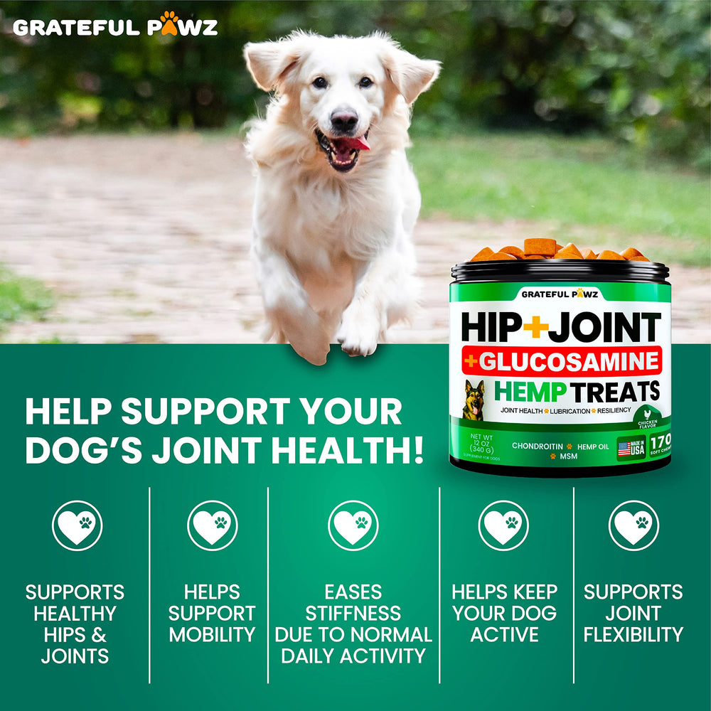Grateful Pawz active dog outdoors with joint support from hemp chews.