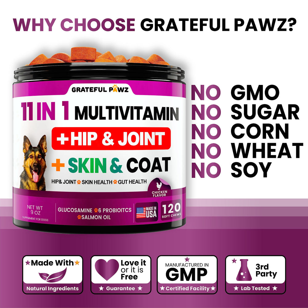 Grateful Pawz joint-support scene illustrates mobility-friendly dog vitamins.