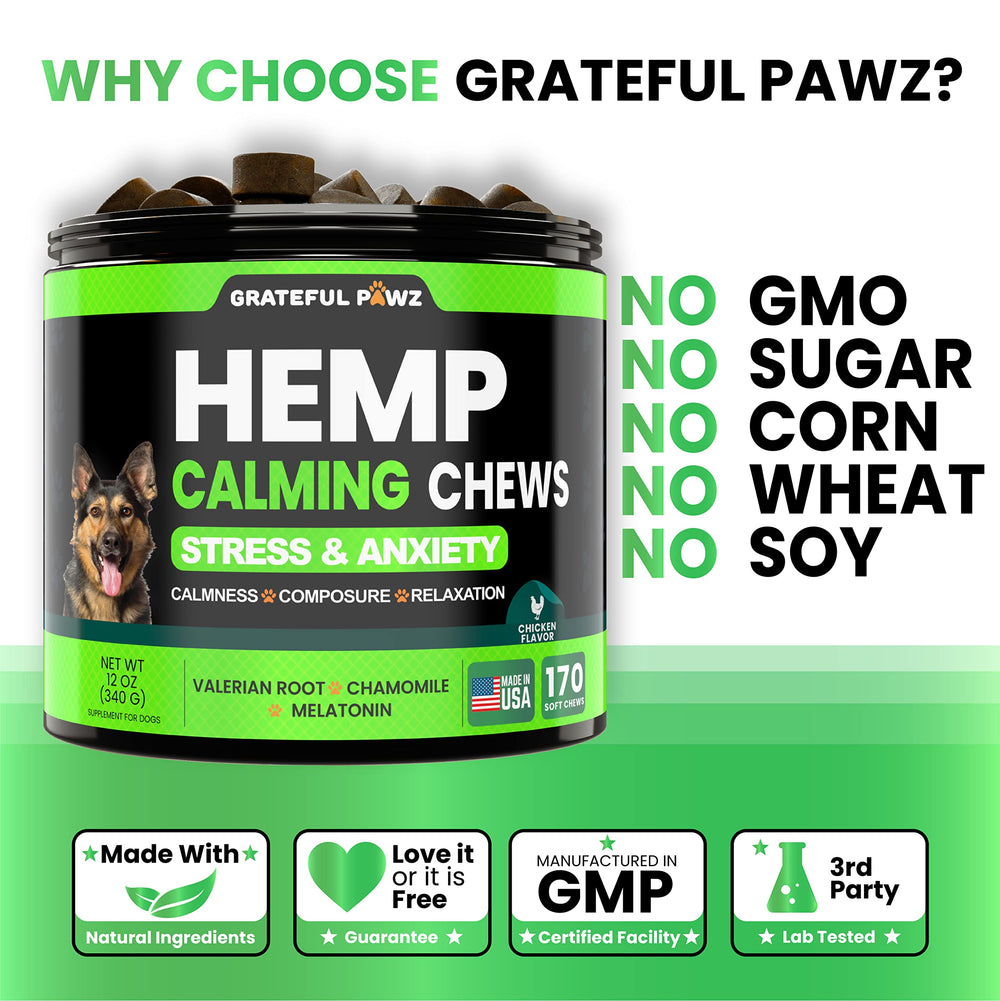 Grateful Pawz hemp calming chews designed for dogs of all sizes.