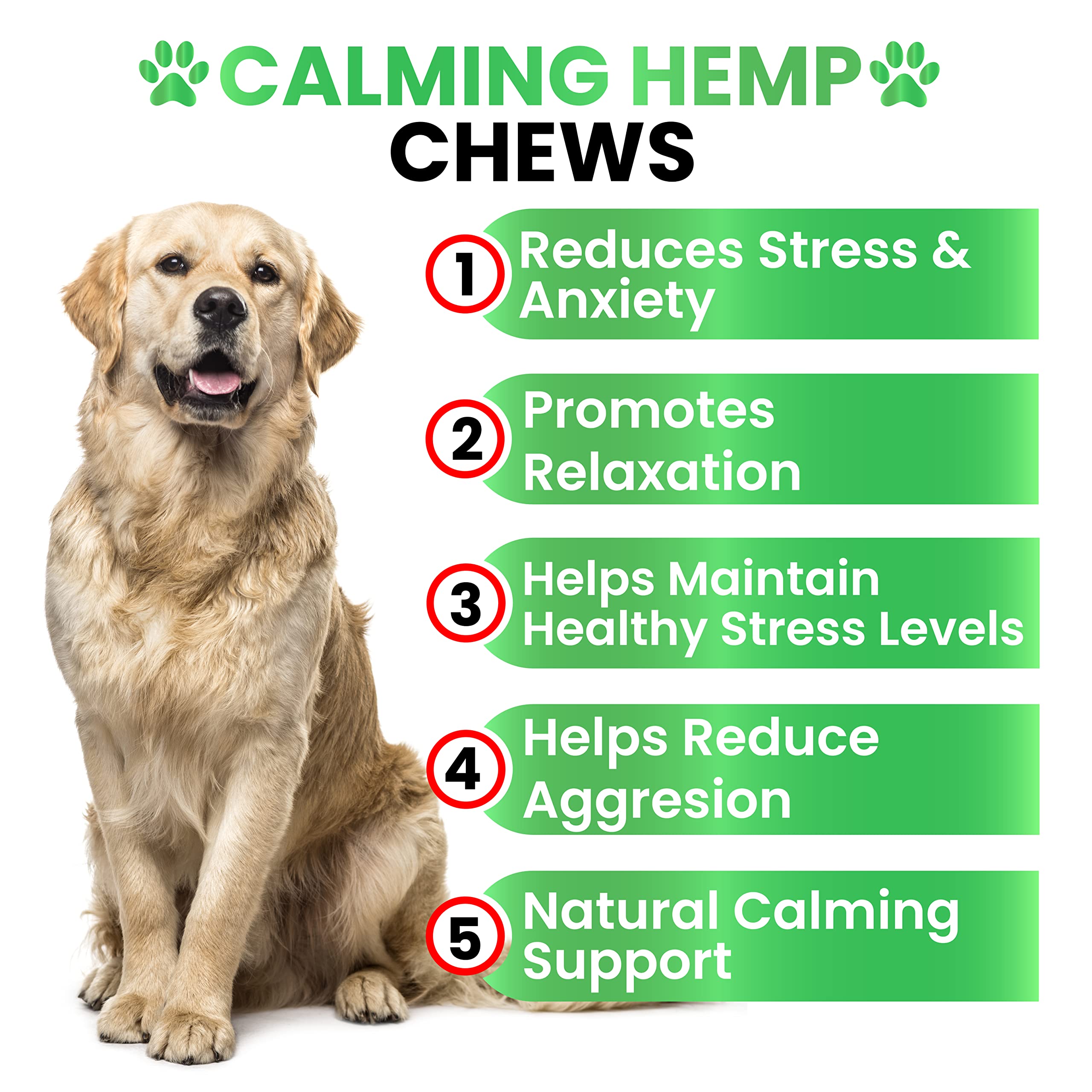 Grateful Pawz calming chews for dogs in a pack soothe nerves during car rides.